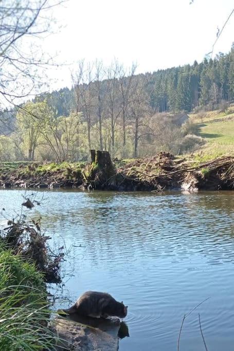 شقة Ferienglueck Im Schwarzwald Zimmern ob Rottweil المظهر الخارجي الصورة