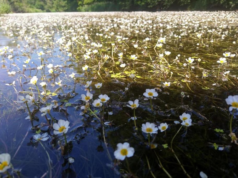 شقة Ferienglueck Im Schwarzwald Zimmern ob Rottweil المظهر الخارجي الصورة